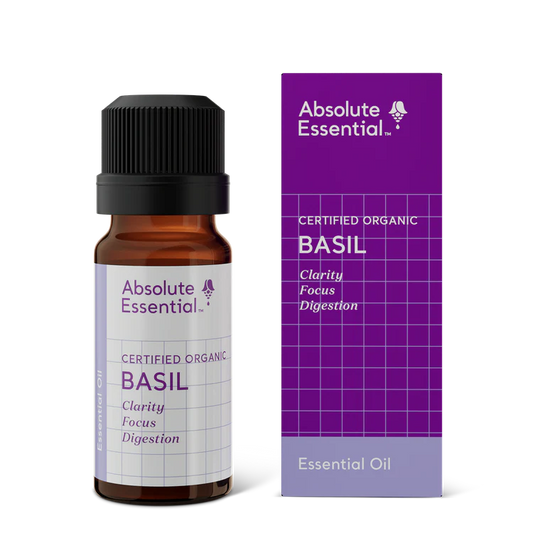 Basil Essential Oil